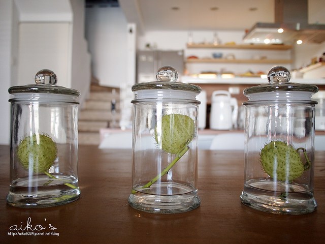 【美好餐具】透明密封罐，美好生活的極品配件。