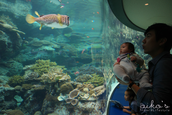 【日本沖繩】沖繩美麗海水族館買便宜票券教學：亞洲最大水族館，與寶寶親子旅行的第一次接觸。