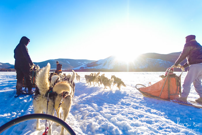 【冬雪蒙古】冬遊蒙古國必做的三件事：銀白巴彥戈壁騎駱駝、雪地騎馬、夢幻雪橇犬。