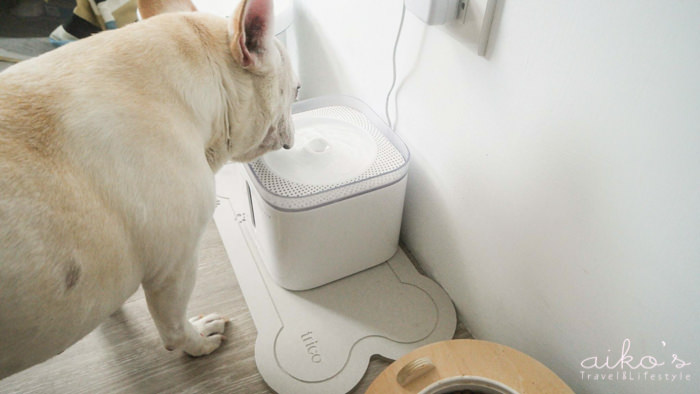 【美型家電】寵物房佈置：超美petkit小佩佩奇智能循環過濾活水飲水機、飼料盆、飼料罐、珪藻土寵物墊。
