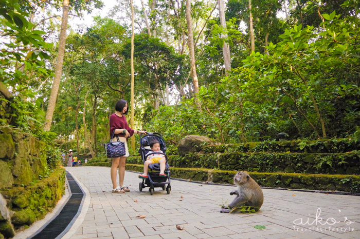 【遊峇里島】烏布市區景點：Sacred Monkey Forest聖猴森林、Alas Kedaton猴子森林、猴林路烏布大街、Goa Gajah象窟。