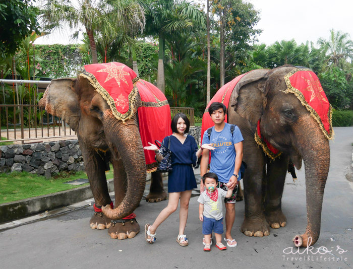 【遊峇里島】親子旅行必訪：跟大象吃晚餐的夢幻體驗Gayo Restaurant、WANA RESTAURANT獅子餐廳下午茶@Bali Zoo