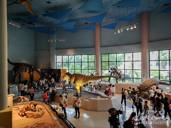 【台中北區】親子旅行的雨天備案：恐龍迷必去國立自然科學博物館、金寶茶餐廳。