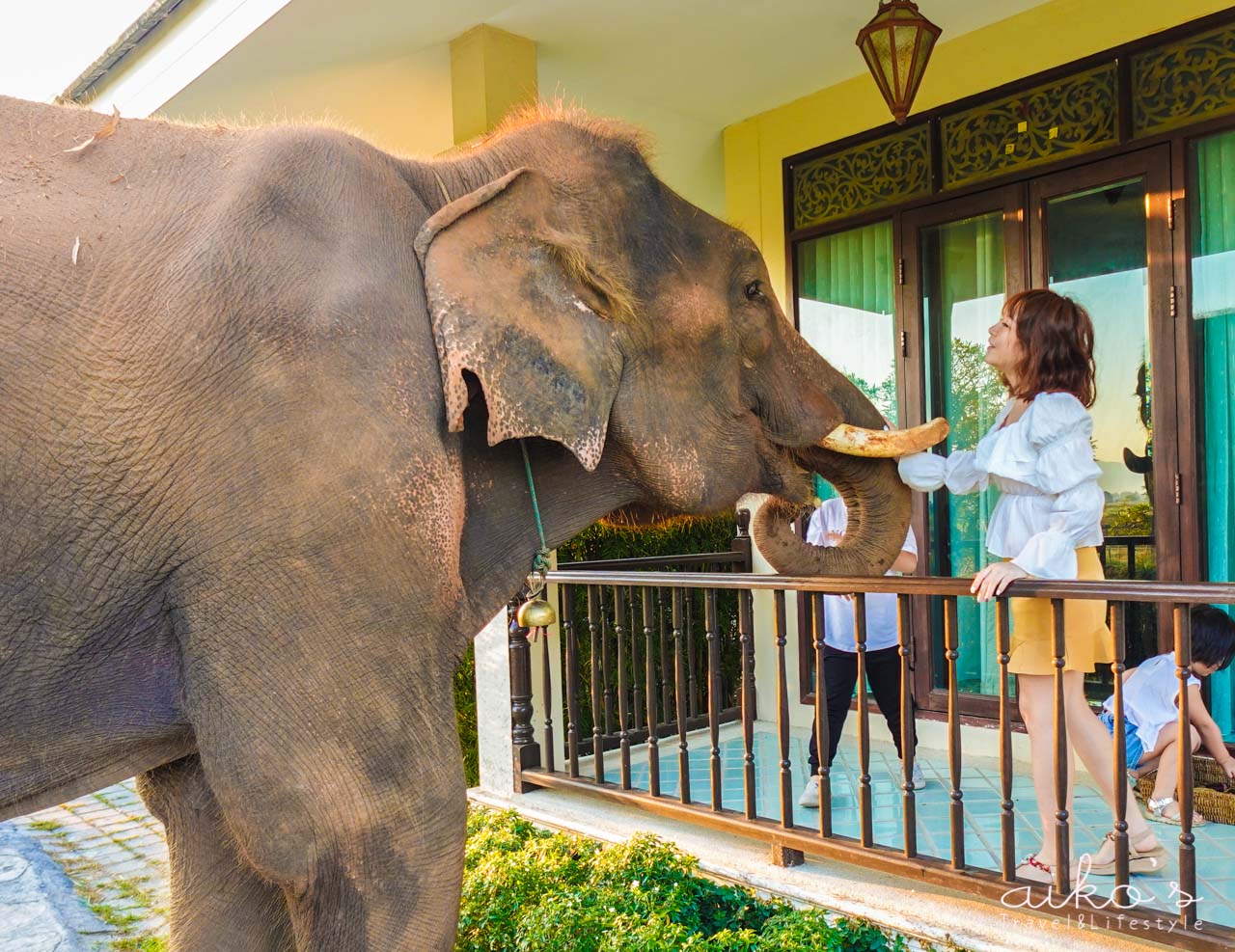 【泰國清邁】Chapulin Natural Resort 查普林自然渡假村｜大象Morning Call的夢幻時光
