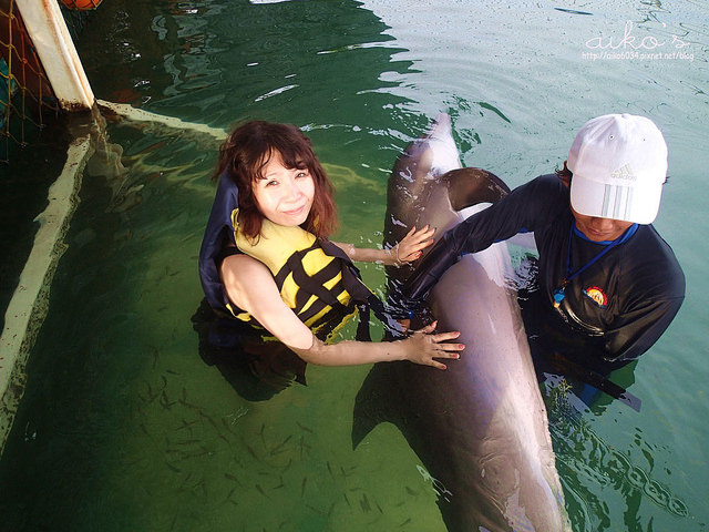 【遊峇里島】sanur必訪～bali dolphin lodge在海豚灣與海豚共游，一生一定要體會一次的感動。