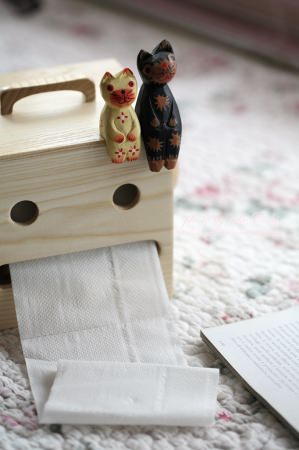 【開心敗家】超可愛的fujidinos《天然木》機器人造型面紙盒！！！
